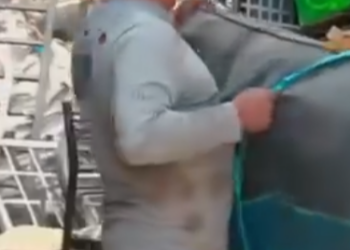 H0601001 SUFRIMIENTO triunfo de un padre soltero part2