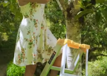 H1801001 Se enamoro de su patrón pago las consecuenci4s part2