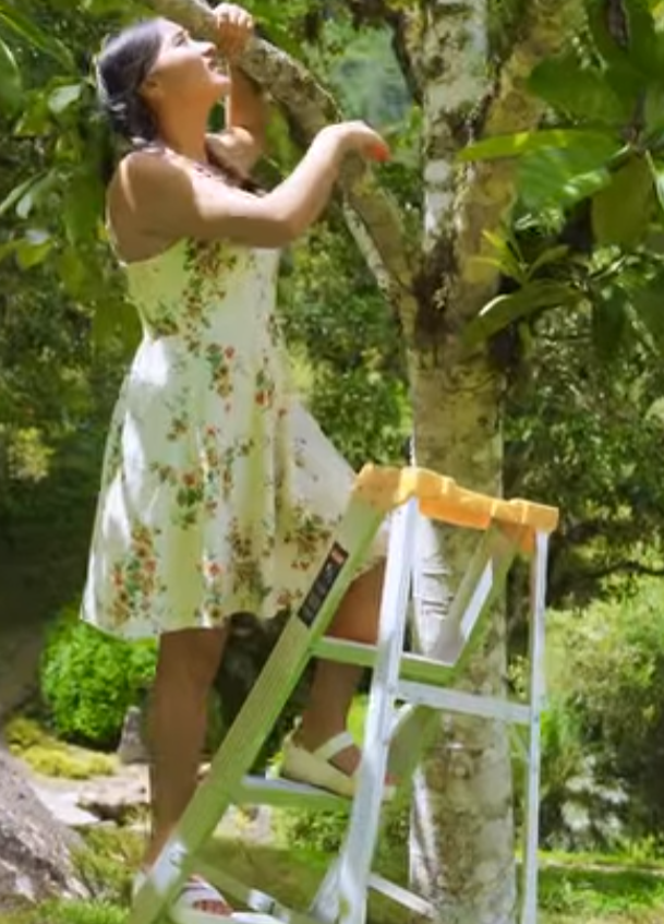 H1801001 Se enamoro de su patrón pago las consecuenci4s part2