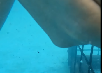 H2701002 Nunca juzgues antes de tiempo