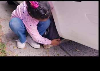 H2801002 Le enseñó robar sus hijas estas fueron las consecuencias part2