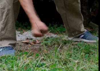 H3001004 Lo dejo por ser jardinero se llevo esta gran sorpresa part2