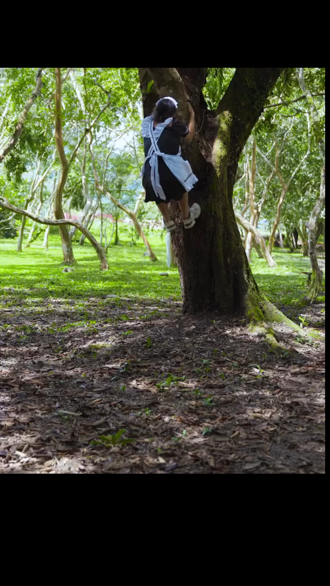 H3001001 Impide que su jefe se casara con esta mujer por este oscuro secreto part2