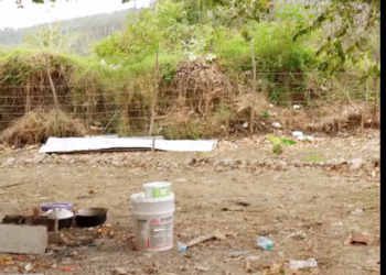 H0202003 Me rechazó por ser carpintero hasta que vio mi auto deportivo así reacciono