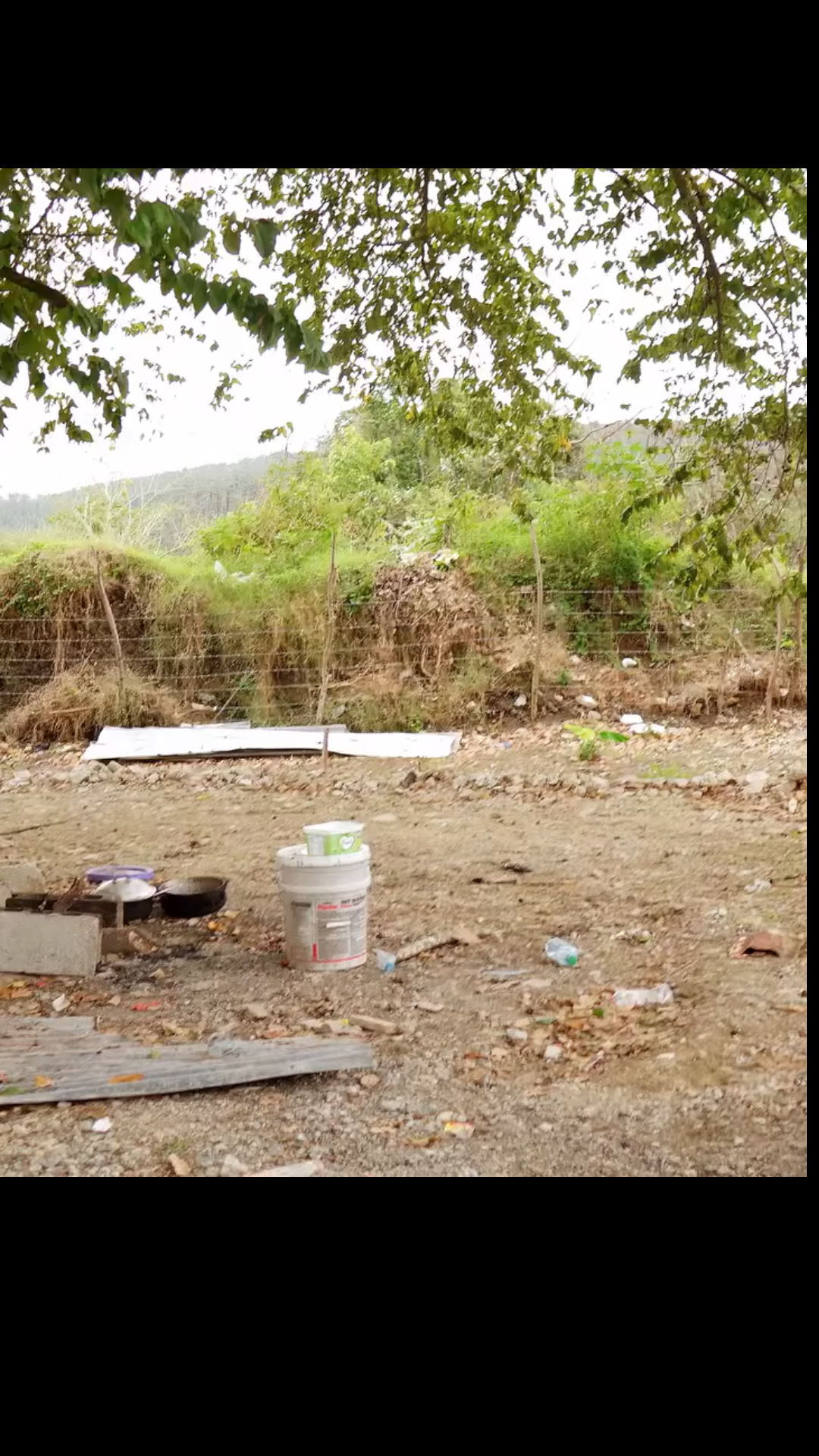 H0202003 Me rechazó por ser carpintero hasta que vio mi auto deportivo así reacciono