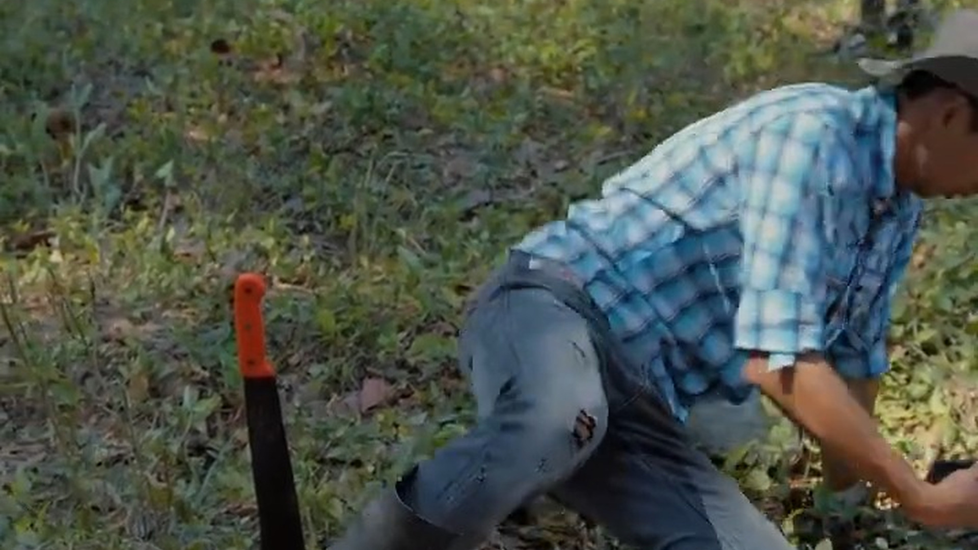 H1203004 Angelito se vistió de espantapájaros para ayudar part2