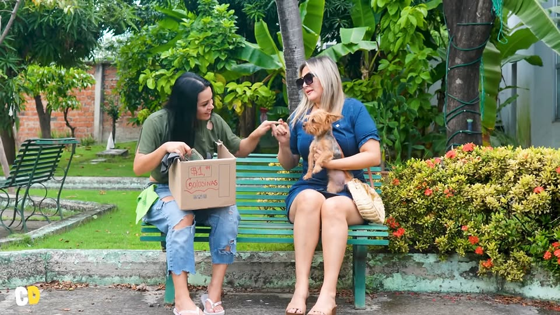 H1503005 Ella nunca imaginó que su vida cambiaría gracias part2