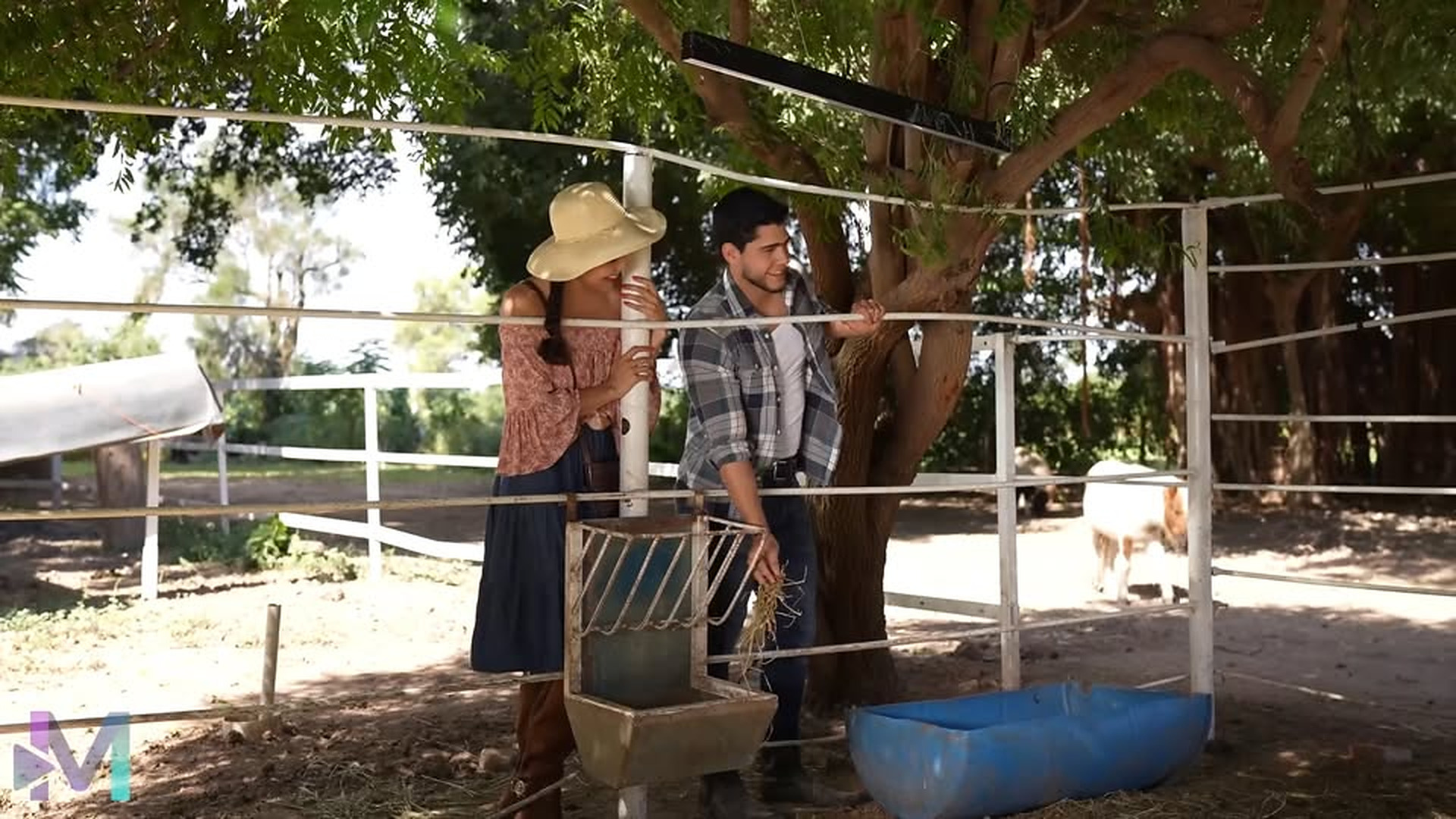 H3003002_Penso que era un vago sin saber que terminari_part2. | Instant Update